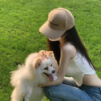 奶牛阴谋
